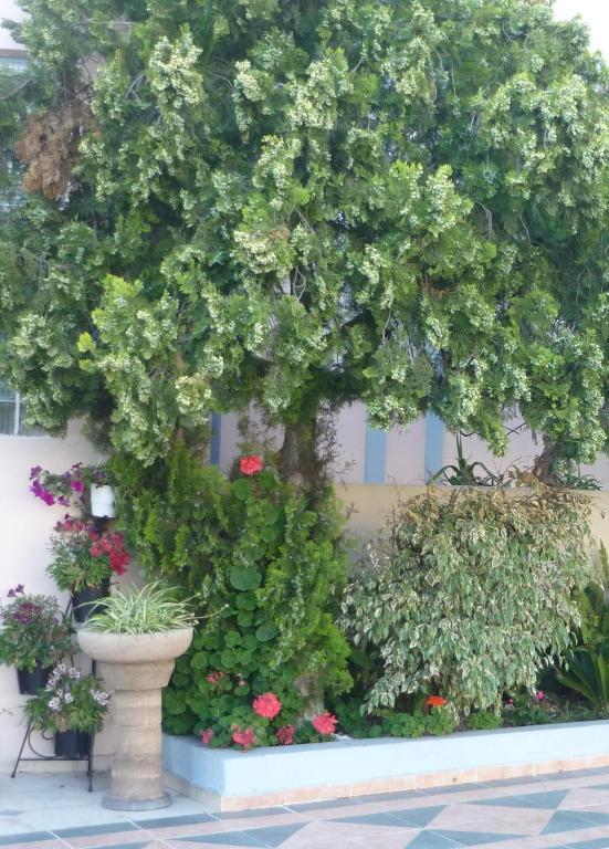 Rainbow Hotel Rhodes City エクステリア 写真